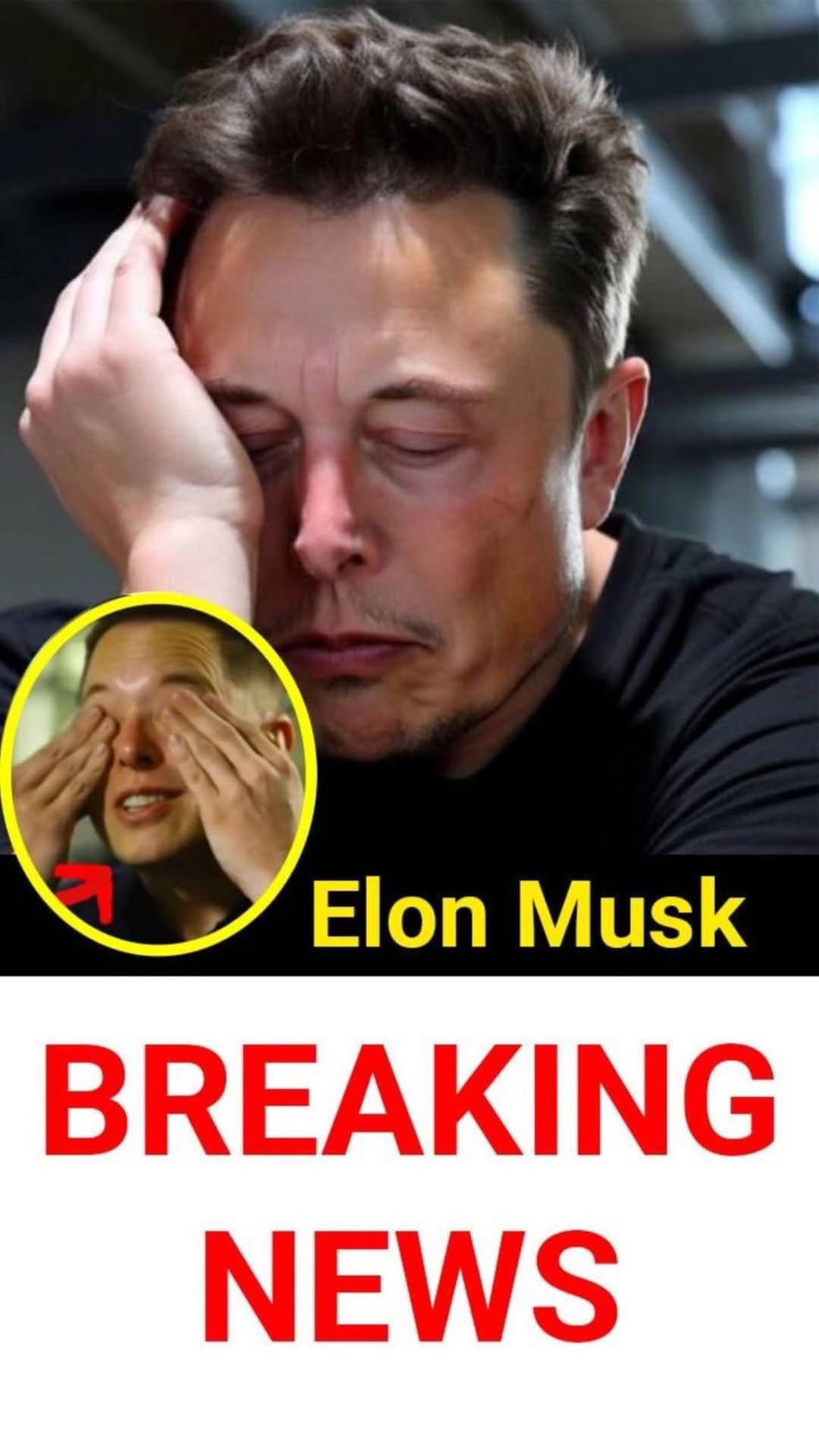 ‘Devastated’ Elon Musk reacts after the billionaire lost $29,000,000,000 in one day